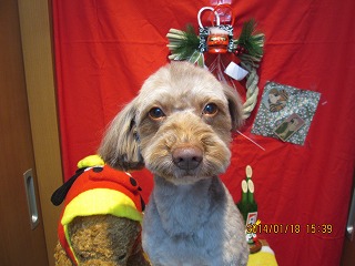 ファイル 6928-2.jpg