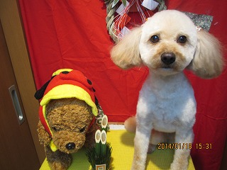 ファイル 6929-2.jpg