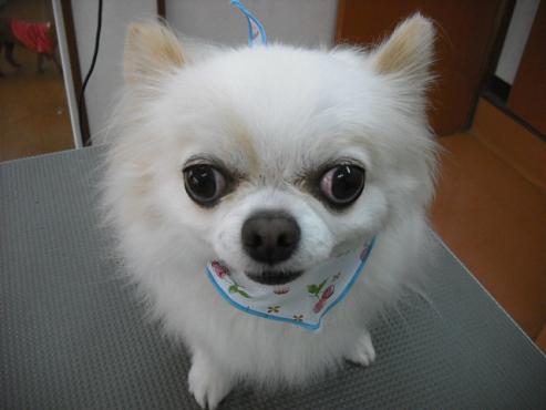 ファイル 693-1.jpg