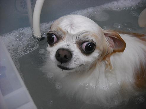 ファイル 693-2.jpg