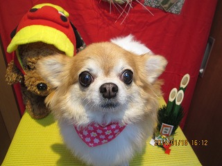 ファイル 6930-2.jpg