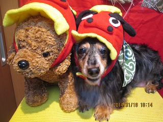 ファイル 6931-1.jpg