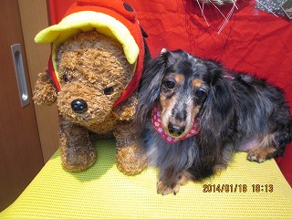 ファイル 6931-2.jpg