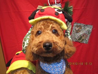 ファイル 6932-1.jpg