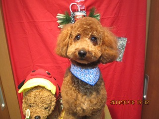 ファイル 6932-2.jpg