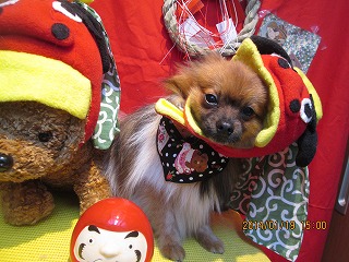 ファイル 6933-1.jpg