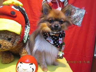 ファイル 6933-2.jpg