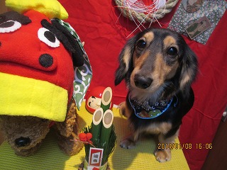 ファイル 6934-2.jpg