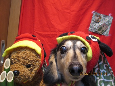 ファイル 6938-1.jpg