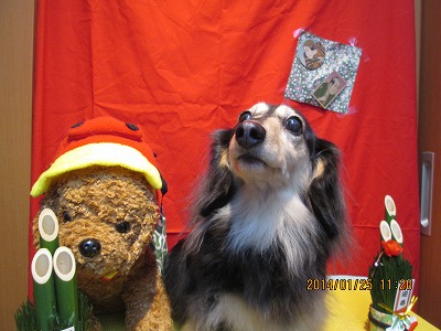 ファイル 6938-2.jpg