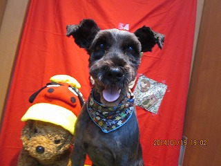 ファイル 6939-2.jpg