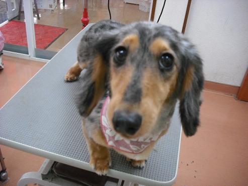 ファイル 694-1.jpg