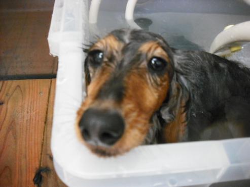 ファイル 694-2.jpg