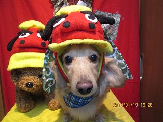 ファイル 6940-1.jpg