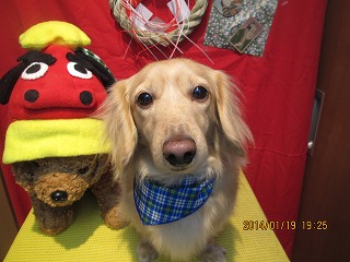 ファイル 6940-2.jpg