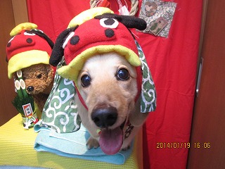 ファイル 6941-1.jpg