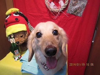 ファイル 6941-2.jpg