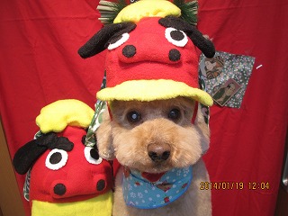 ファイル 6942-1.jpg