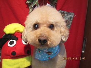 ファイル 6942-2.jpg