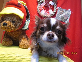 ファイル 6943-2.jpg