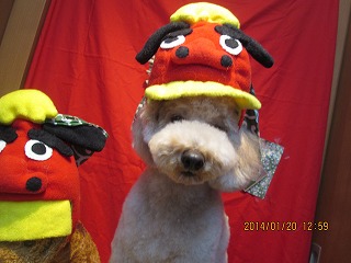 ファイル 6944-1.jpg