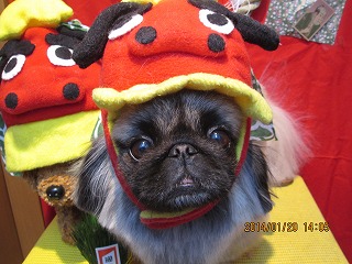 ファイル 6946-1.jpg