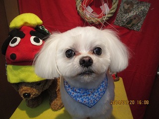 ファイル 6947-2.jpg