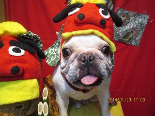 ファイル 6948-1.jpg