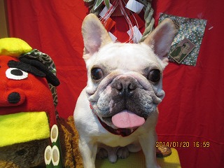 ファイル 6948-2.jpg