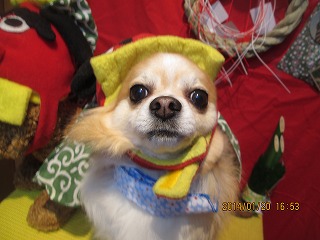 ファイル 6949-1.jpg