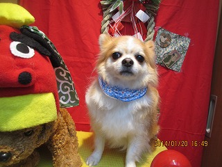 ファイル 6949-2.jpg