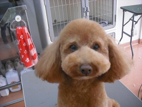 ファイル 695-1.jpg