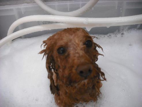 ファイル 695-2.jpg