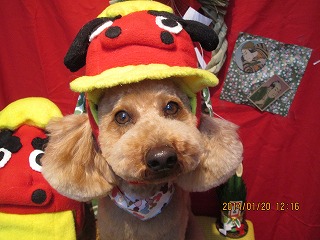 ファイル 6951-1.jpg