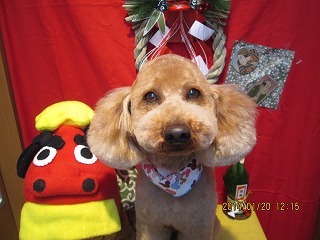 ファイル 6951-2.jpg