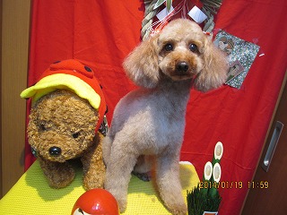 ファイル 6952-2.jpg