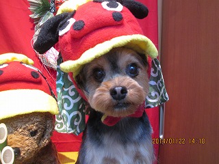 ファイル 6953-1.jpg