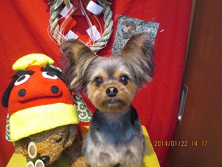 ファイル 6953-2.jpg