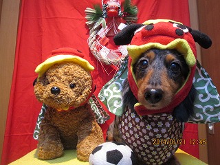 ファイル 6954-1.jpg