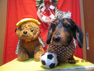 ファイル 6954-2.jpg