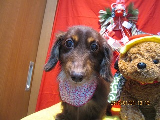 ファイル 6955-2.jpg