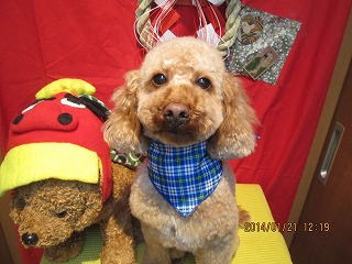 ファイル 6956-2.jpg