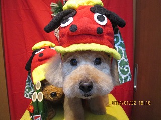 ファイル 6957-1.jpg