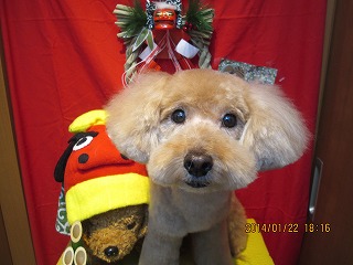 ファイル 6957-2.jpg