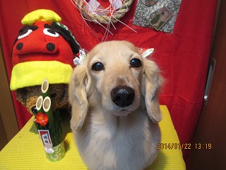 ファイル 6958-2.jpg