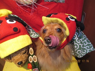 ファイル 6959-1.jpg