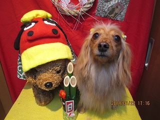 ファイル 6959-2.jpg