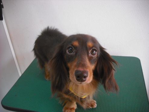 ファイル 696-1.jpg