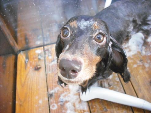 ファイル 696-2.jpg