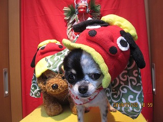 ファイル 6960-1.jpg